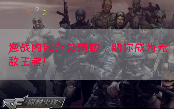 逆战内部永久辅助，助你成为无敌王者！