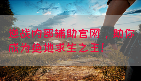 逆战内部辅助官网，助你成为绝地求生之王！