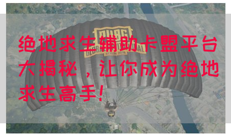 绝地求生辅助卡盟平台大揭秘，让你成为绝地求生高手！