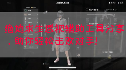 绝地求生透视辅助工具分享，助你轻松击败对手！(图1)
