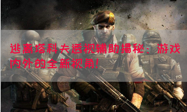 逃离塔科夫透视辅助揭秘：游戏内外的全新视角！