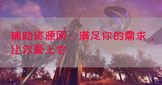 辅助资源网：满足你的需求，让你爱上它