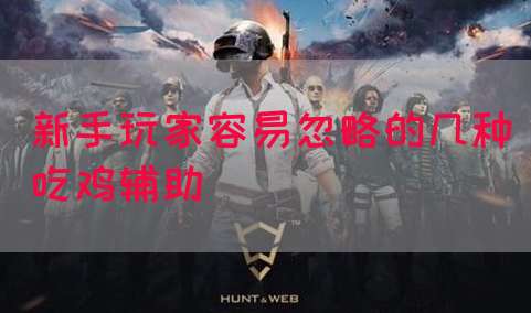 新手玩家容易忽略的几种吃鸡辅助(图1)