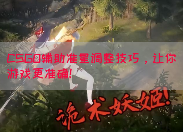 CSGO辅助准星调整技巧，让你游戏更准确！