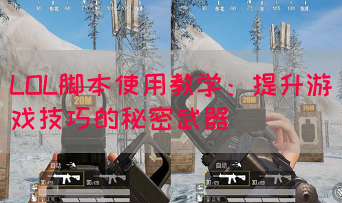 LOL脚本使用教学：提升游戏技巧的秘密武器
