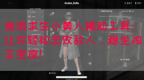 绝地求生小黄人辅助工具：让你轻松击败敌人，稳坐鸡王宝座！