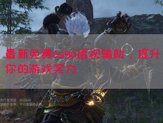 最新免费csgo透视辅助，提升你的游戏实力