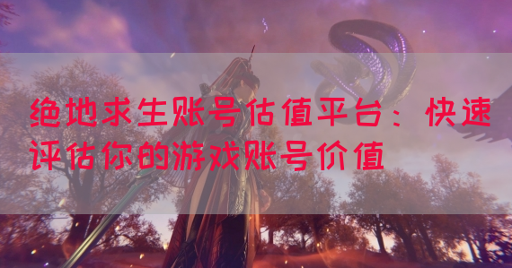 绝地求生账号估值平台：快速评估你的游戏账号价值
