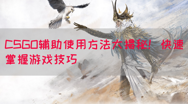 CSGO辅助使用方法大揭秘！快速掌握游戏技巧