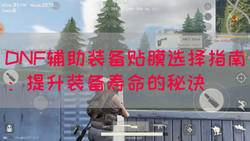 DNF辅助装备贴膜选择指南：提升装备寿命的秘诀