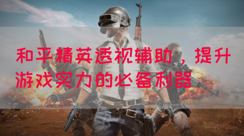 和平精英透视辅助，提升游戏实力的必备利器
