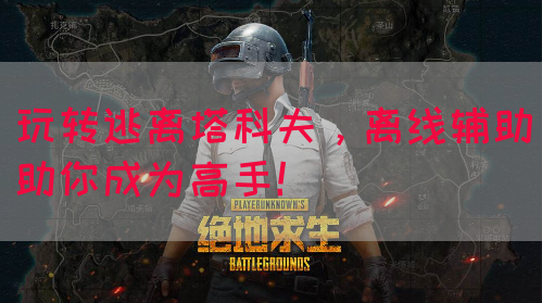 玩转逃离塔科夫，离线辅助助你成为高手！