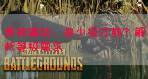 原神辅助：多少级才够？解析等级需求