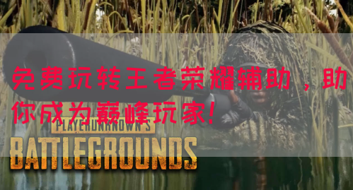 免费玩转王者荣耀辅助，助你成为巅峰玩家！
