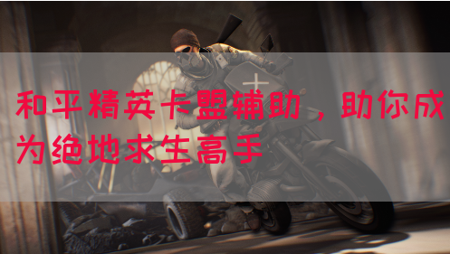 和平精英卡盟辅助，助你成为绝地求生高手