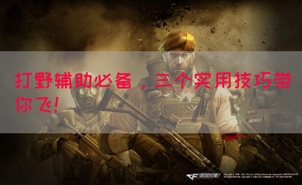 打野辅助必备，三个实用技巧带你飞！