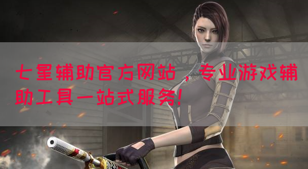 七星辅助官方网站，专业游戏辅助工具一站式服务！
