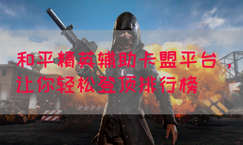 和平精英辅助卡盟平台，让你轻松登顶排行榜