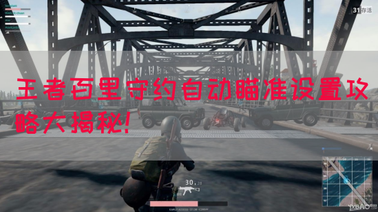 王者百里守约自动瞄准设置攻略大揭秘！