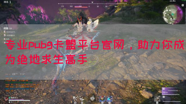 专业pubg卡盟平台官网，助力你成为绝地求生高手(图1)