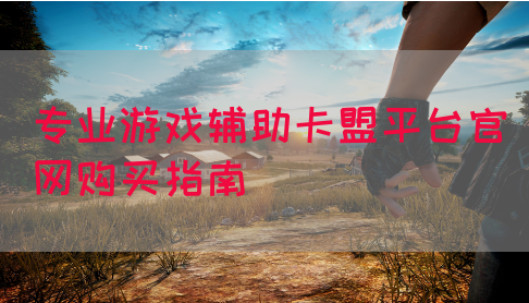 专业游戏辅助卡盟平台官网购买指南
