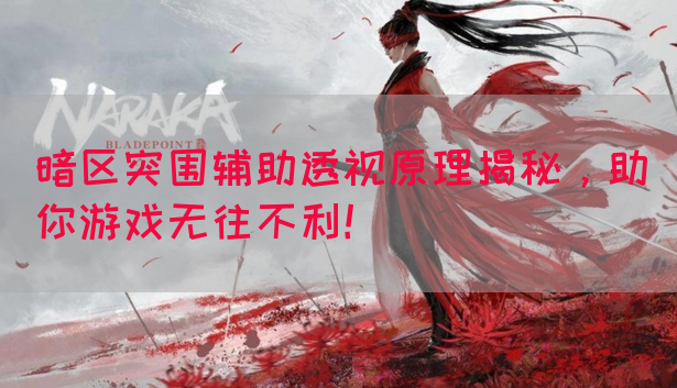 暗区突围辅助透视原理揭秘，助你游戏无往不利！