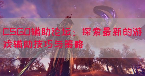 CSGO辅助论坛：探索最新的游戏辅助技巧与策略