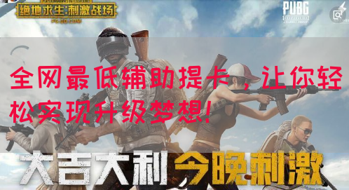 全网最低辅助提卡，让你轻松实现升级梦想！