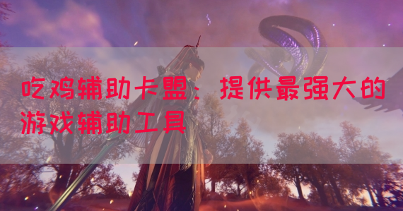 吃鸡辅助卡盟：提供最强大的游戏辅助工具