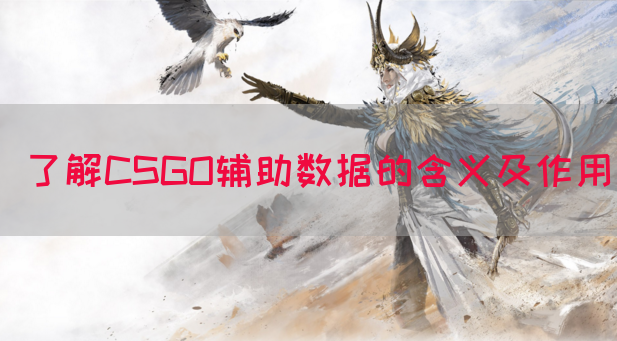 了解CSGO辅助数据的含义及作用