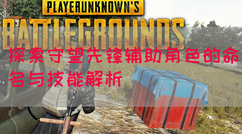 探索守望先锋辅助角色的命名与技能解析
