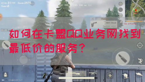 如何在卡盟QQ业务网找到最低价的服务？