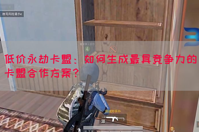 低价永劫卡盟：如何生成最具竞争力的卡盟合作方案？