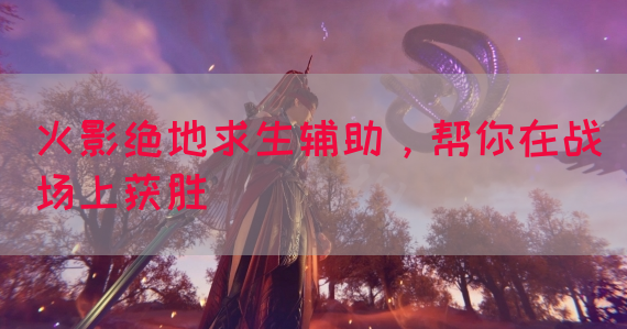 火影绝地求生辅助，帮你在战场上获胜