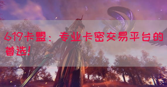 619卡盟：专业卡密交易平台的首选！