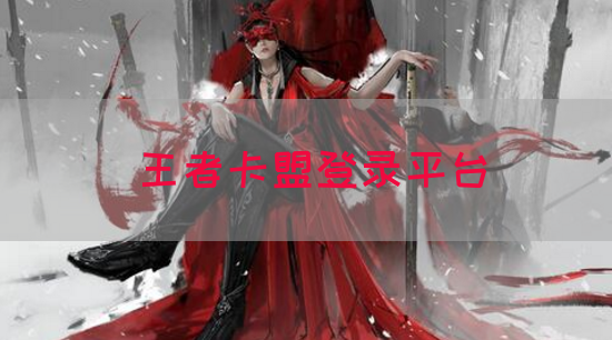 王者卡盟登录平台