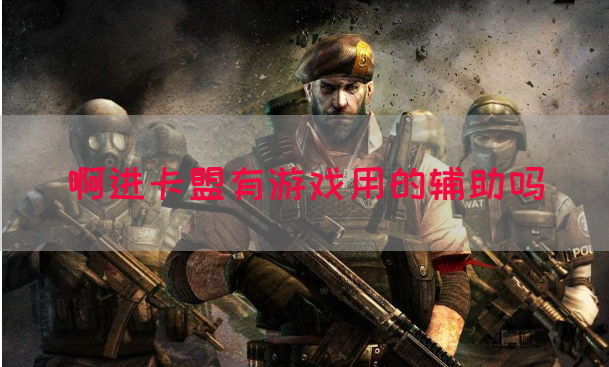 啊进卡盟有游戏用的辅助吗