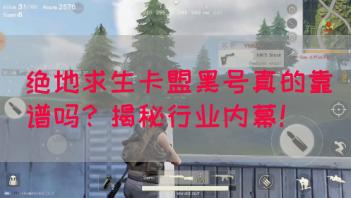 绝地求生卡盟黑号真的靠谱吗？揭秘行业内幕！