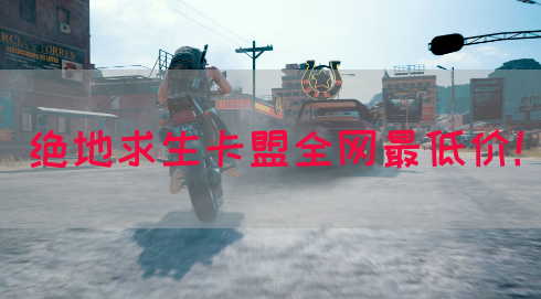 绝地求生卡盟全网最低价！