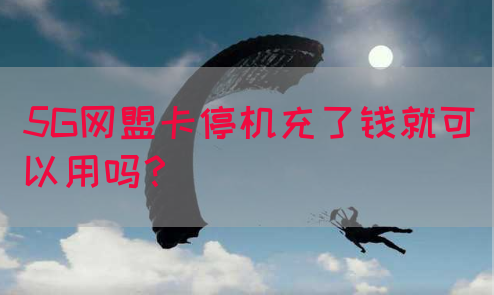 5G网盟卡停机充了钱就可以用吗？
