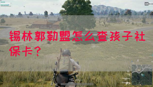 锡林郭勒盟怎么查孩子社保卡？