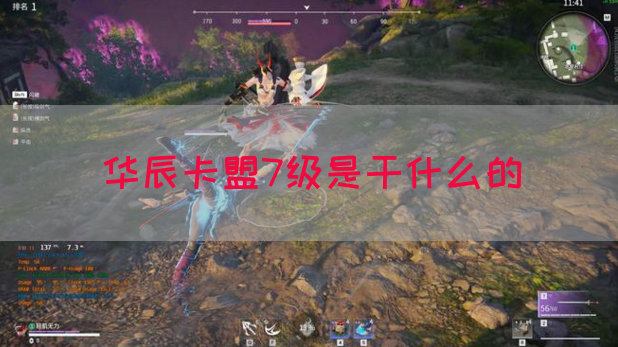 华辰卡盟7级是干什么的