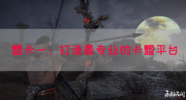 盟卡一：打造最专业的卡盟平台