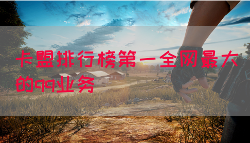 卡盟排行榜第一全网最大的qq业务