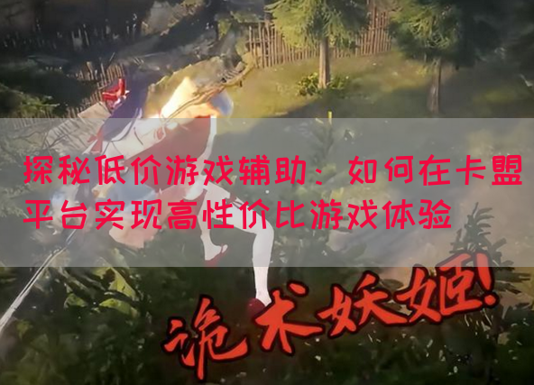 探秘低价游戏辅助：如何在卡盟平台实现高性价比游戏体验