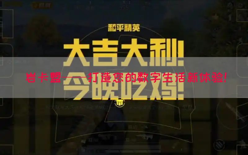 岩卡盟——打造您的数字生活新体验！
