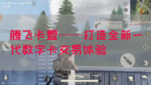 腾飞卡盟——打造全新一代数字卡交易体验