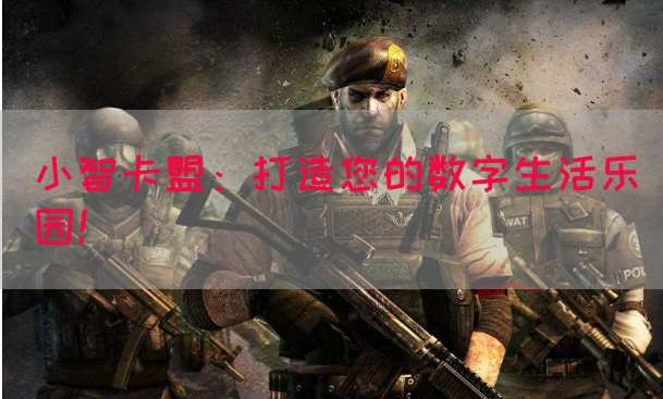 小智卡盟：打造您的数字生活乐园！