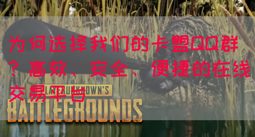 为何选择我们的卡盟QQ群？高效、安全、便捷的在线交易平台