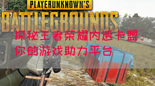 探秘王者荣耀内透卡盟：你的游戏助力平台